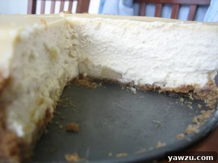 Brown sugar apple cheesecake on a metal springform pan with a slice removed, revealing the delicious layered interior of creamy filling, apples, and a crisp crust.