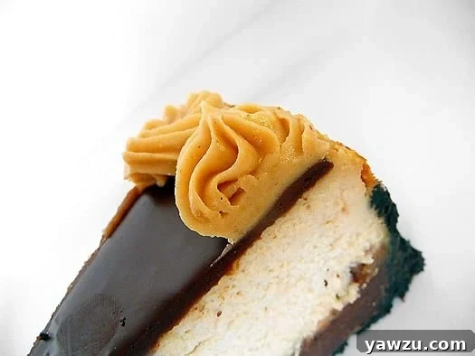 A perfectly sliced piece of Peanut Butter Fudge Cheesecake on a pristine white plate, revealing its irresistible layers of crust, fudge, and creamy filling.