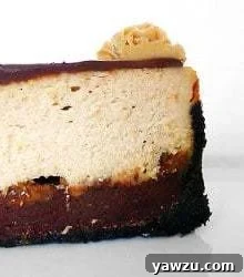 Side view of a slice of peanut butter fudge cheesecake on a white plate, showcasing its delectable layers of Oreo crust, fudge, peanut butter cups, and creamy filling topped with ganache.