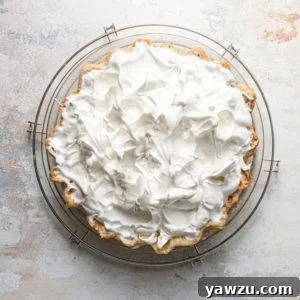 Meringue topping on a lemon meringue pie, showcasing its golden peaks.