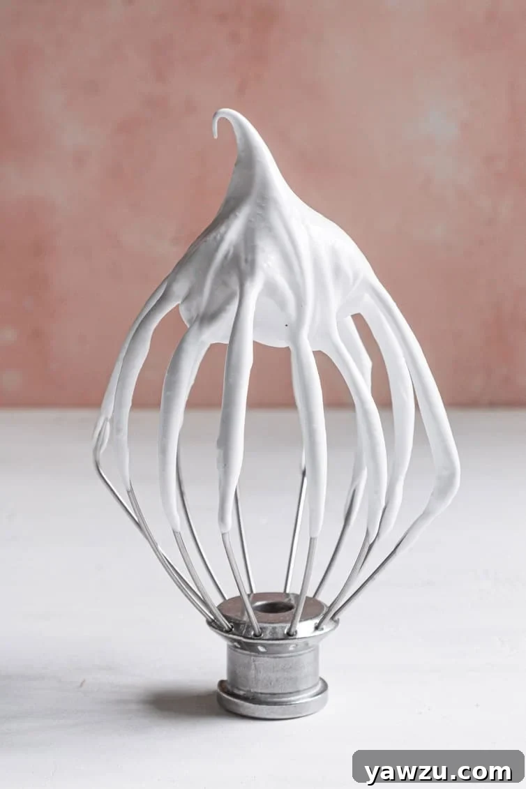 A kitchen whisk attachment standing upright in a bowl, demonstrating stiff meringue peaks.