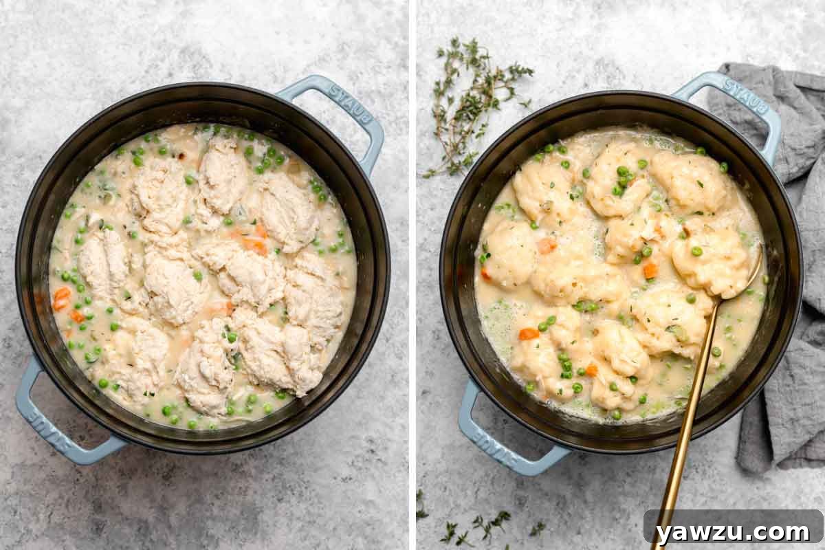 Side by side photos of dumplings dropped on top of chicken stew base, before and after cooking.