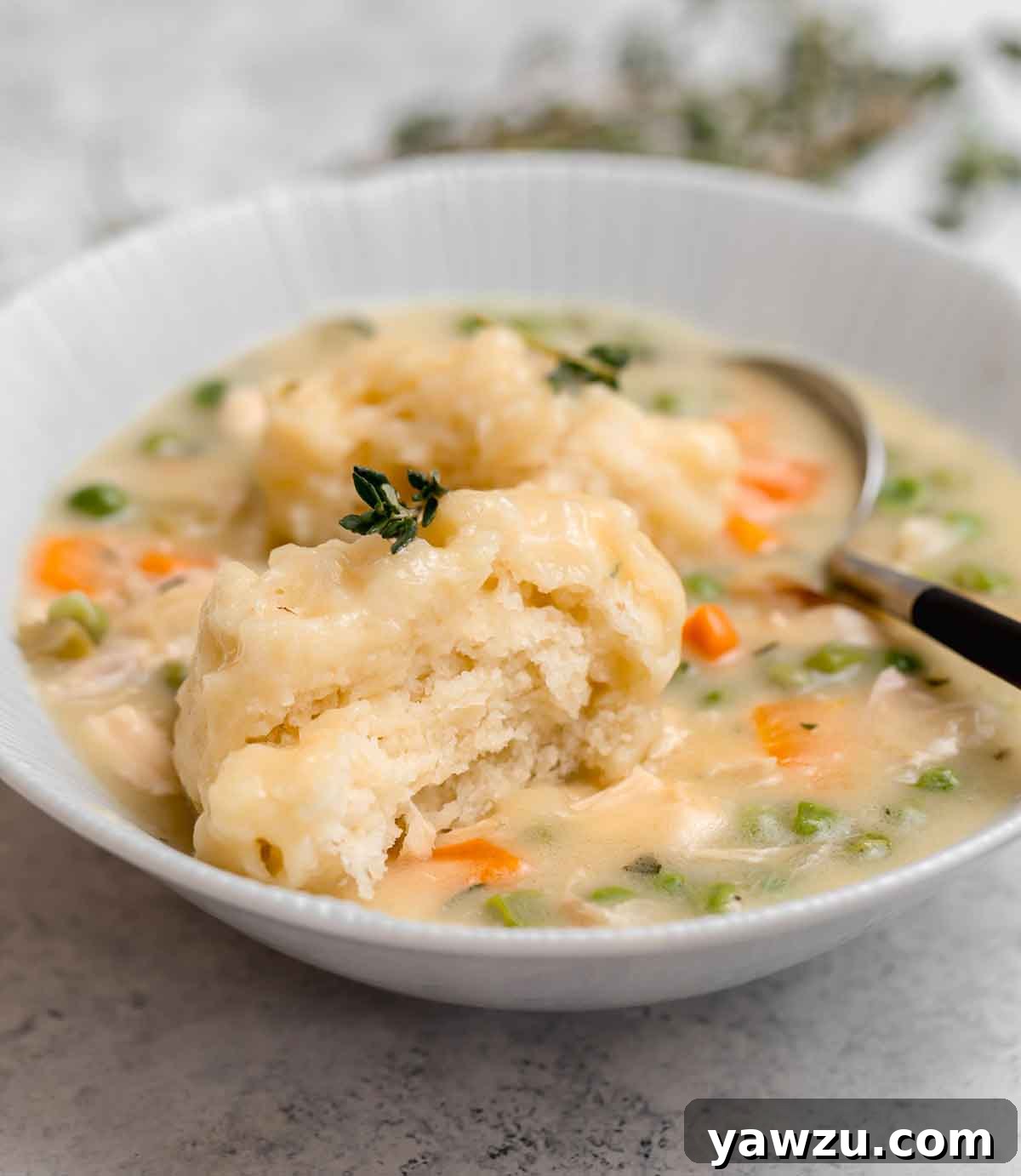 Chicken and dumplings in a white bowl with a spoon and dumpling being broken in half.