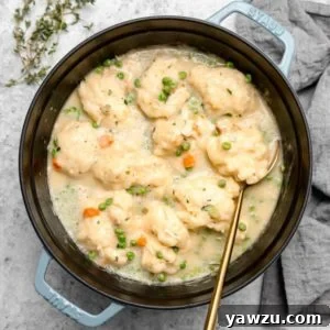 Homemade Chicken and Dumplings