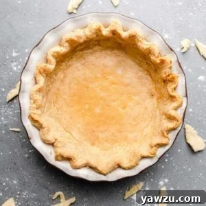 Overhead photo of a blind baked pie crust.
