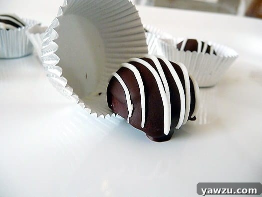 Elegant dark chocolate truffles resting on a pristine white plate, inviting indulgence.