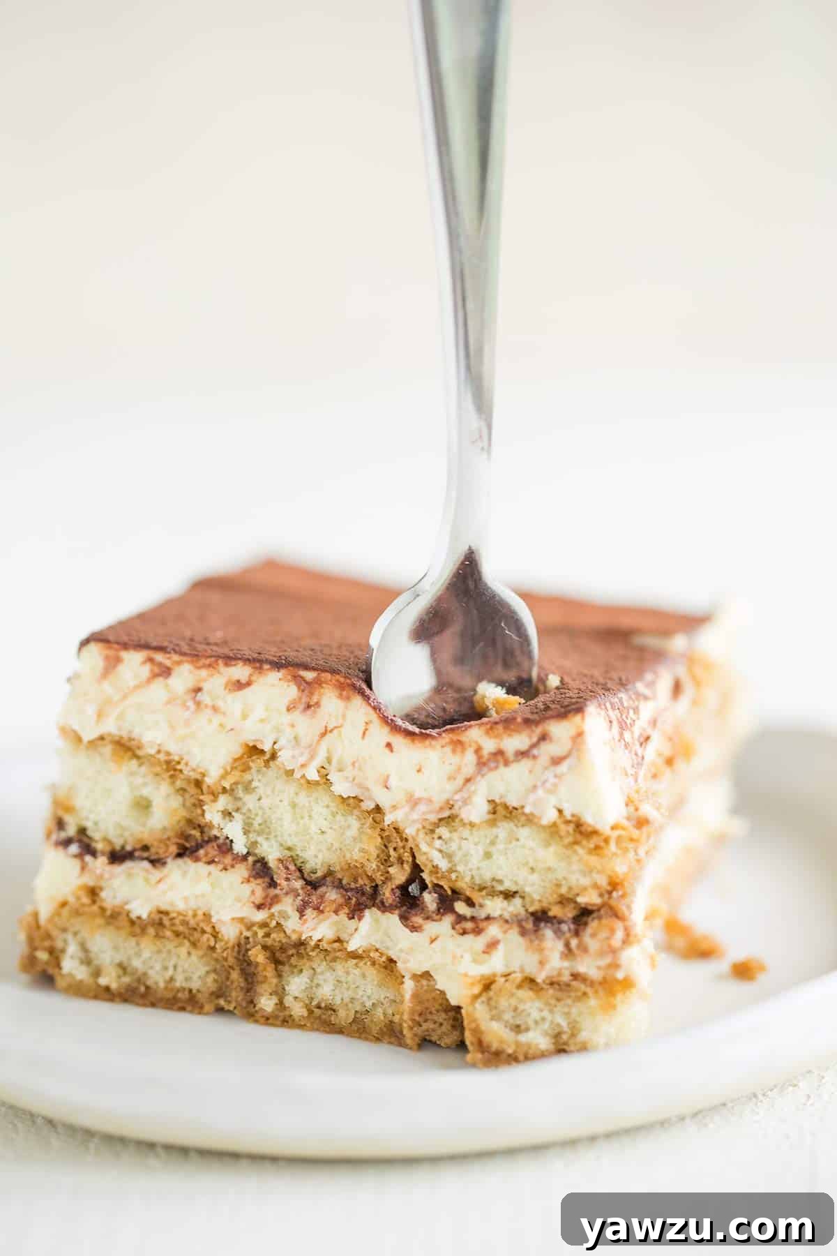 A white plate with a square of tiramisu cut out showing the layers with a fork in the top.