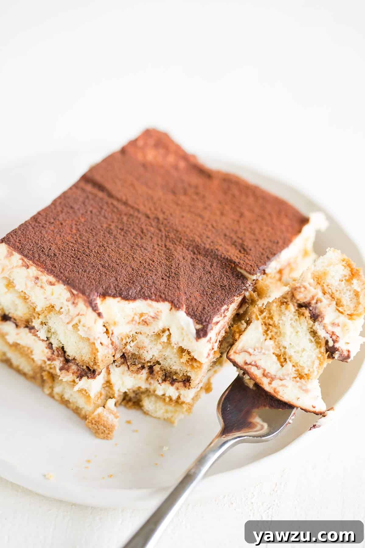 A square slice of tiramisu on a white rimmed plate with a fork full of tiramisu to the right.