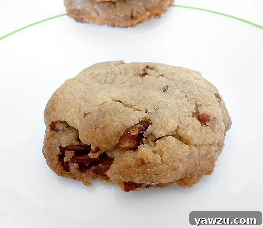 Golden-brown pecan sandies cookies arranged neatly on a white plate, showcasing their inviting texture and whole pecans.