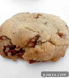 A single pecan sandie cookie on a white plate, highlighting its perfect shape and nutty texture.