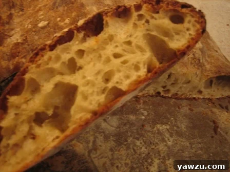 Close up image of slices of rustic bread.