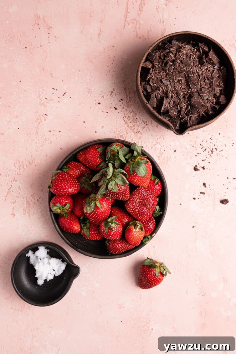 A perfectly staged shot of ingredients: a bowl of rich melted chocolate on the top right, a vibrant bowl of fresh, red strawberries in the middle with a single strawberry beside it, and a small bowl of clear coconut oil in the bottom left, all resting on a chic pink counter, highlighting the simplicity and quality of components.
