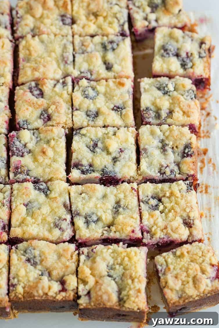 A pan of freshly baked blackberry pie bars, cut into neat squares.