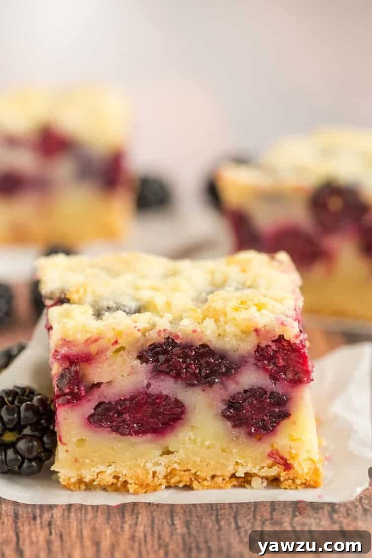 A straight-on shot of a blackberry pie bar, showing the crumbly topping and rich filling.
