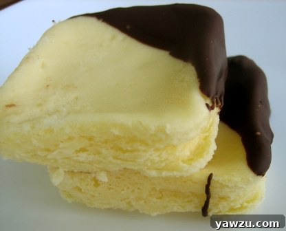 Square cheesecake truffles, one corner elegantly dipped in luscious dark chocolate, showcasing a smooth, creamy texture.