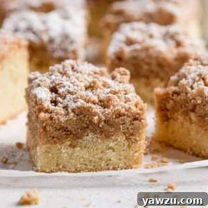 New York Crumb Cake