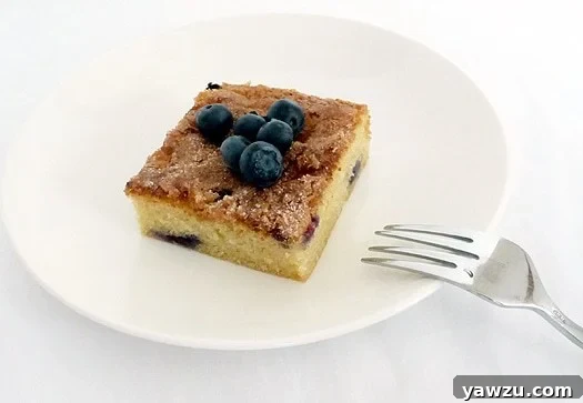 Square of blueberry butter cake topped with blueberries on a white plate with a fork.