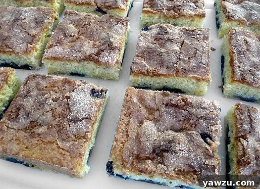 Squares of blueberry butter cake on a serving platter.