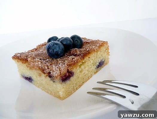 Square of blueberry butter cake topped with blueberries on a white plate with a fork.