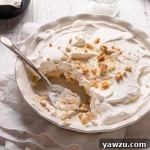Banana pudding in a pie dish topped with vanilla wafers with a spoon in the front.