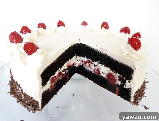 A decadent Black Forest layer cake, elegantly frosted and adorned with glistening cherries. A slice has been removed, revealing layers of rich chocolate cake, luscious whipped cream, and tart cherry filling.