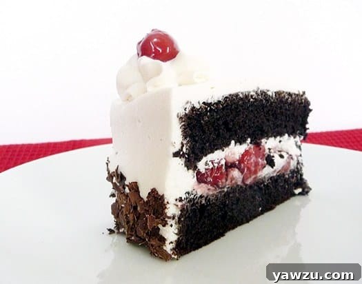A close-up side view of a perfect slice of Black Forest layer cake, showcased on a white plate. Each layer of chocolate cake, cherry filling, and whipped cream is visible, crowned with a dollop of whipped cream and a single cherry.