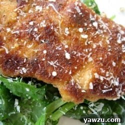 Golden brown Parmesan Chicken served with a vibrant salad.