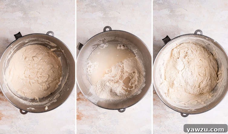 The sponge for bagels actively bubbling and fermenting in a mixing bowl.