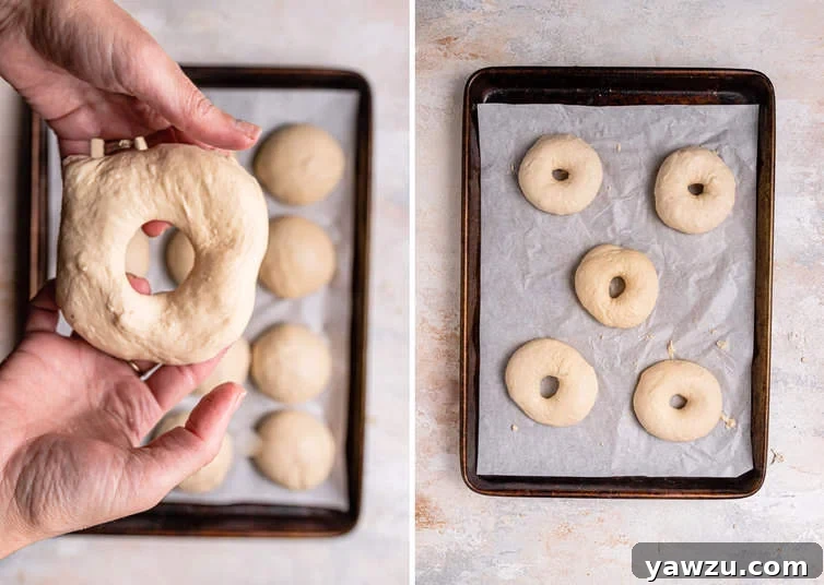 Freshly shaped bagels laid out on a baking sheet, ready for the next step.