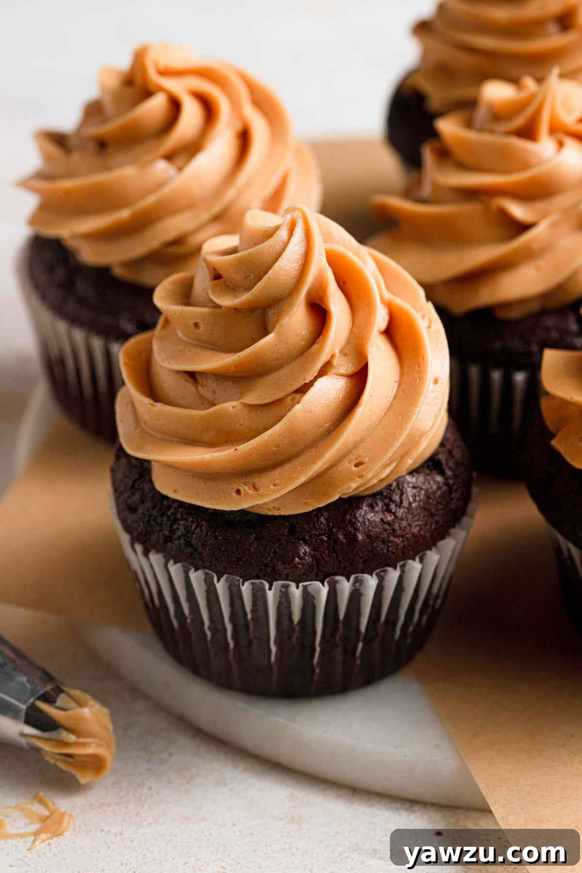 Chocolate cupcakes topped with a swirl of peanut butter frosting.