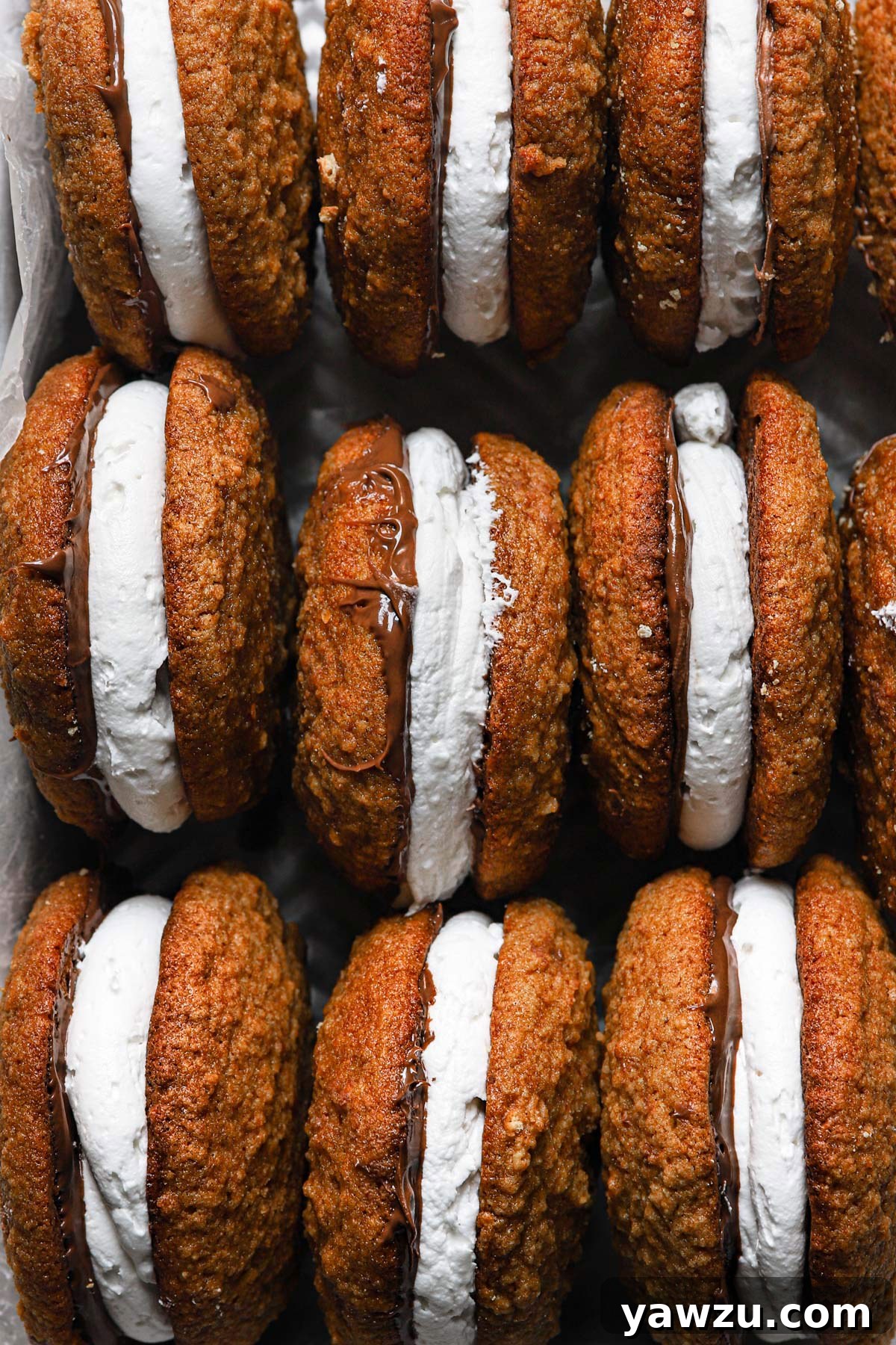 Two S'mores whoopie pies standing upright, showcasing layers of graham cookie, chocolate ganache, and marshmallow filling.