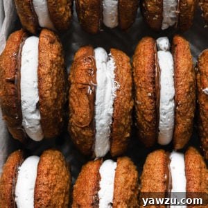 S'mores Whoopie Pies