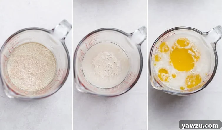Side-by-side comparison photos illustrating yeast proofing in warm water in a measuring cup, showing the transformation from sprinkled yeast to an active, frothy mixture.
