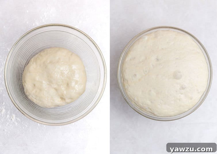 Side-by-side photos demonstrating the process of pizza dough rising in a clear glass bowl, showing its expansion and fluffy texture over time.