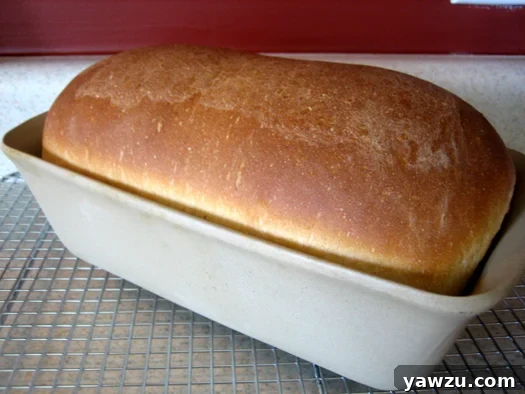 A golden-brown loaf of homemade American sandwich bread cooling in a baking pan on a wire rack.