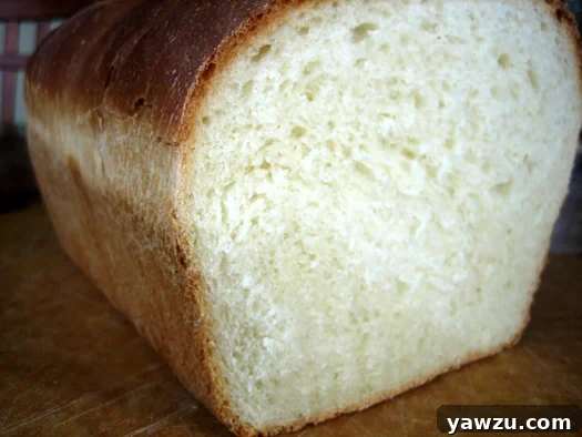 A freshly baked loaf of American sandwich bread with a slice cut, revealing its soft, airy texture.