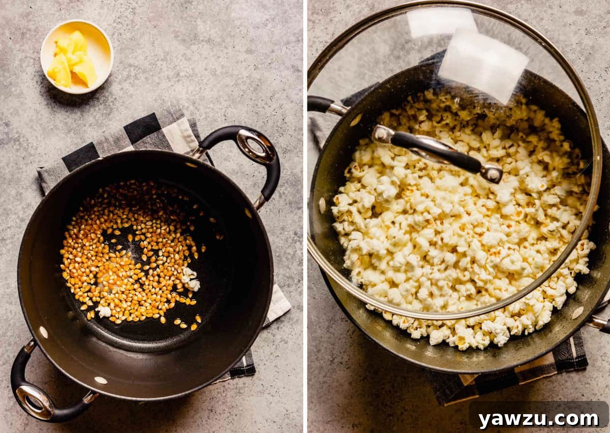 Side by side photos of popcorn kernels in the bottom of a pot and then fully popped.