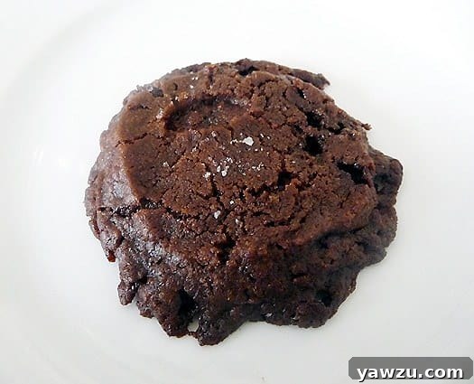 A perfectly baked salted chocolate shortbread cookie on a pristine white plate, showcasing its rich brown hue and a hint of sparkling salt.