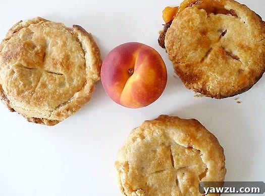 Golden-brown, rustic peach pie tartlets, fresh from the oven, invitingly displayed for a delightful dessert experience.