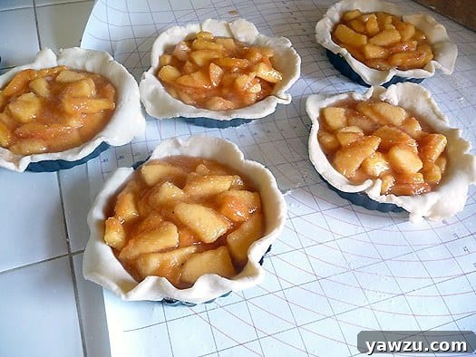 Unbaked peach pie filling nestled atop golden pie crusts in five individual mini tart dishes, awaiting their transformation in the oven.