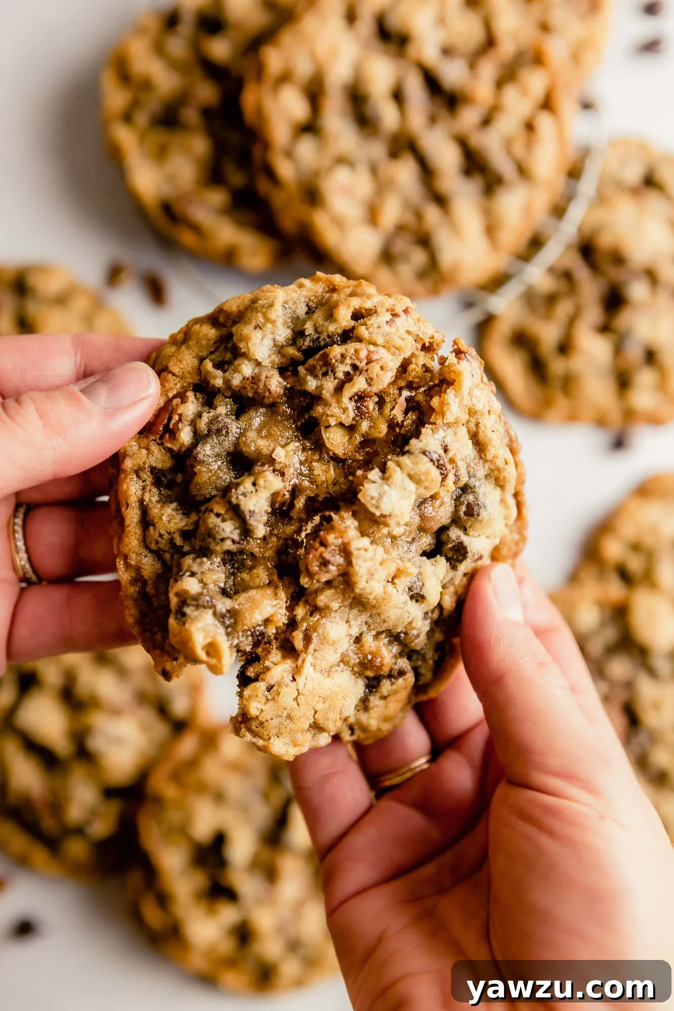 Two hands breaking a cookie in half.