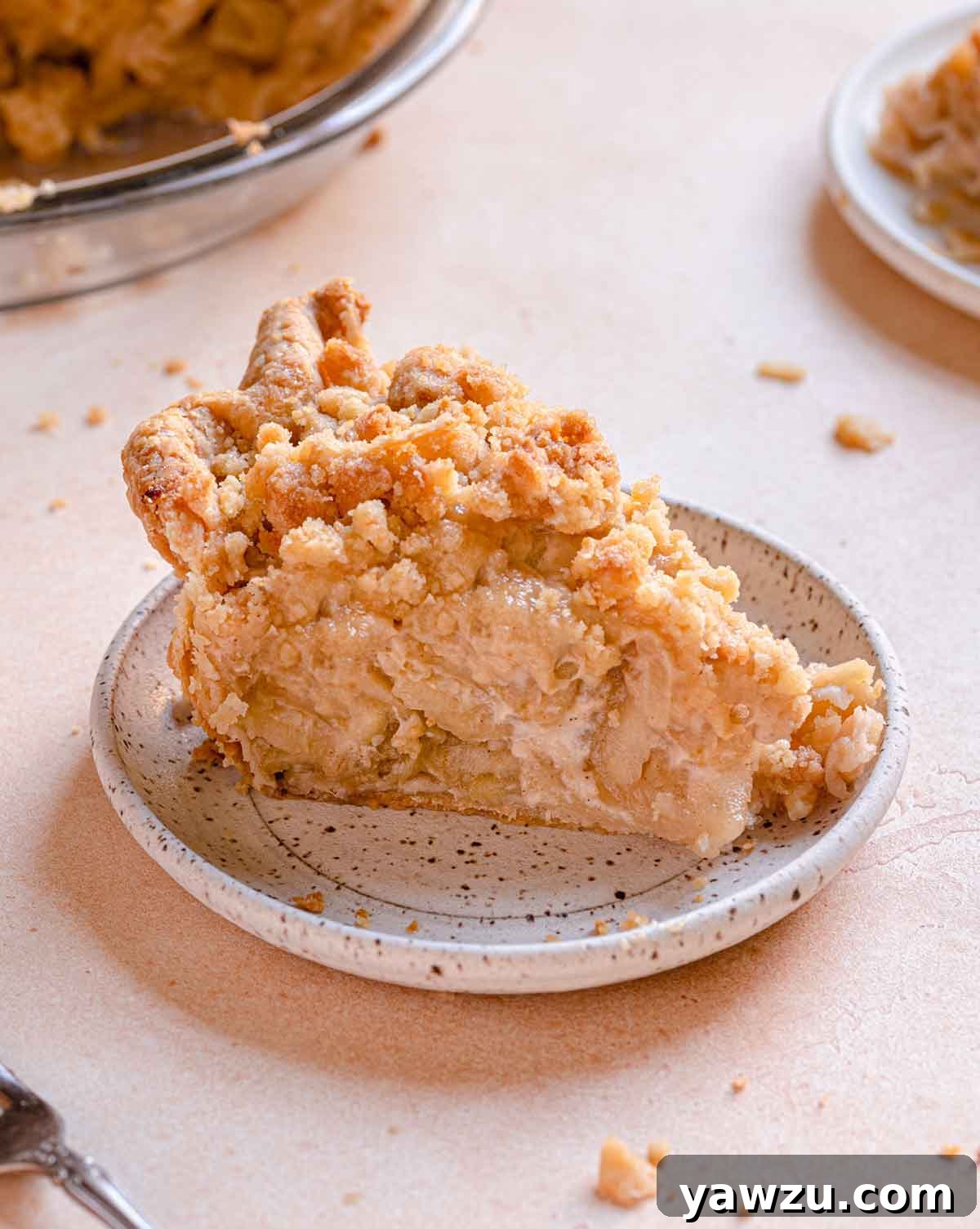 A perfectly portioned slice of Dutch apple pie, showcasing its flaky crust and abundant crumble, resting on a small speckled plate with the full pie in the background.