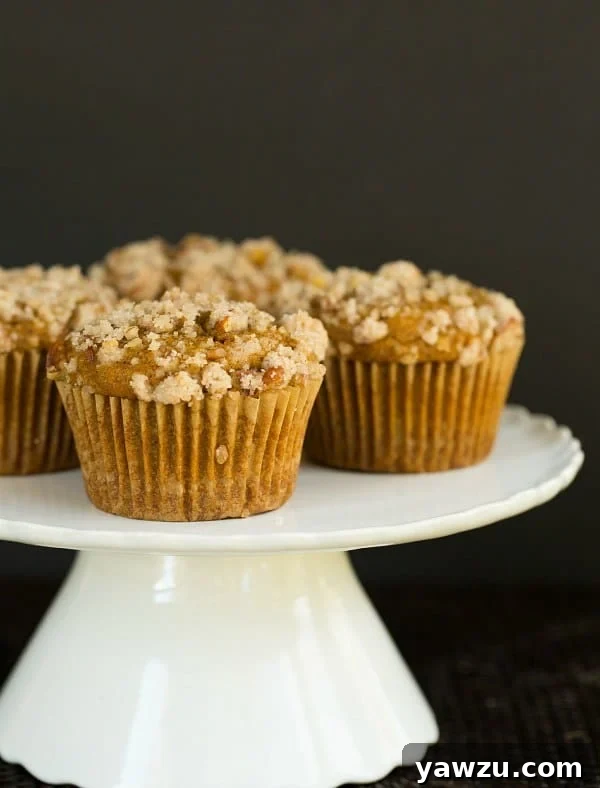 Pumpkin Cream Cheese Muffins with Pecan Streusel | browneyedbaker.com #recipe