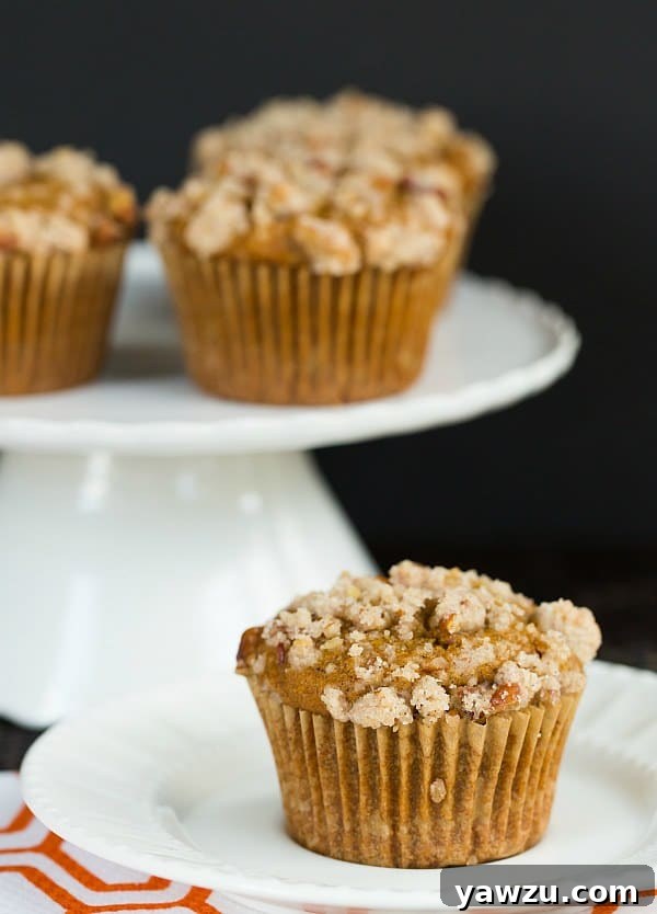 Pumpkin Cream Cheese Muffins with Pecan Streusel | browneyedbaker.com #recipe