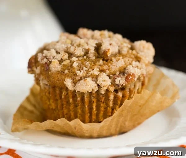 Pumpkin Cream Cheese Muffins with Pecan Streusel | browneyedbaker.com #recipe