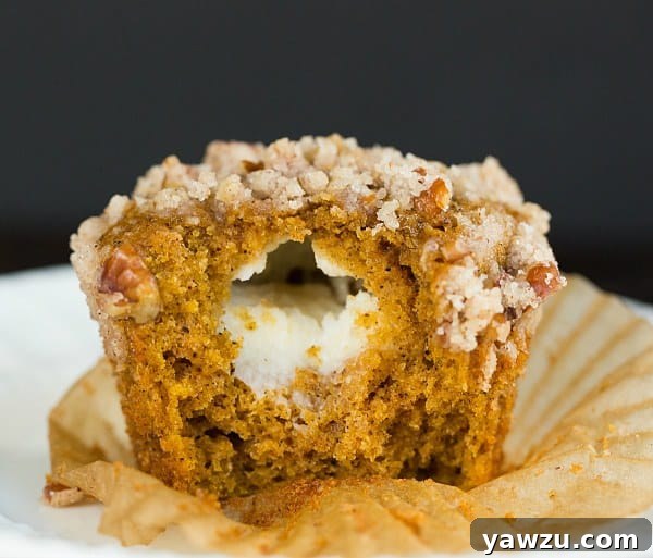 Pumpkin Cream Cheese Muffins with Pecan Streusel | browneyedbaker.com #recipe