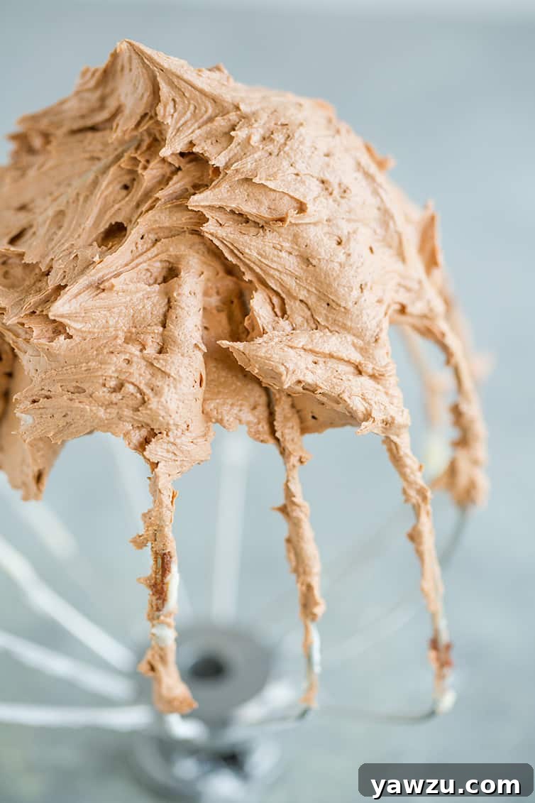 Stand mixer whisk attachment with a ton of chocolate frosting.