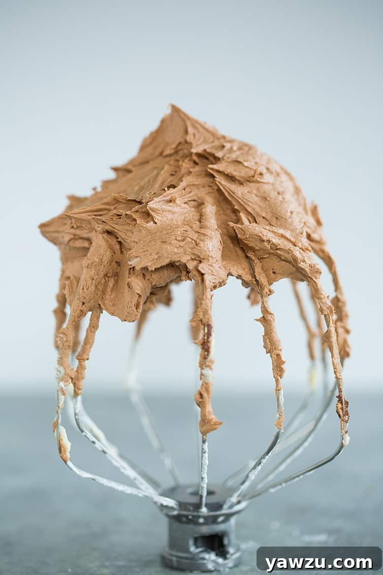 Stand mixer whisk attachment standing upright with chocolate frosting.