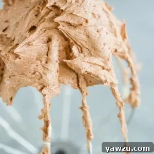 Stand mixer whisk attachment with a ton of chocolate frosting.