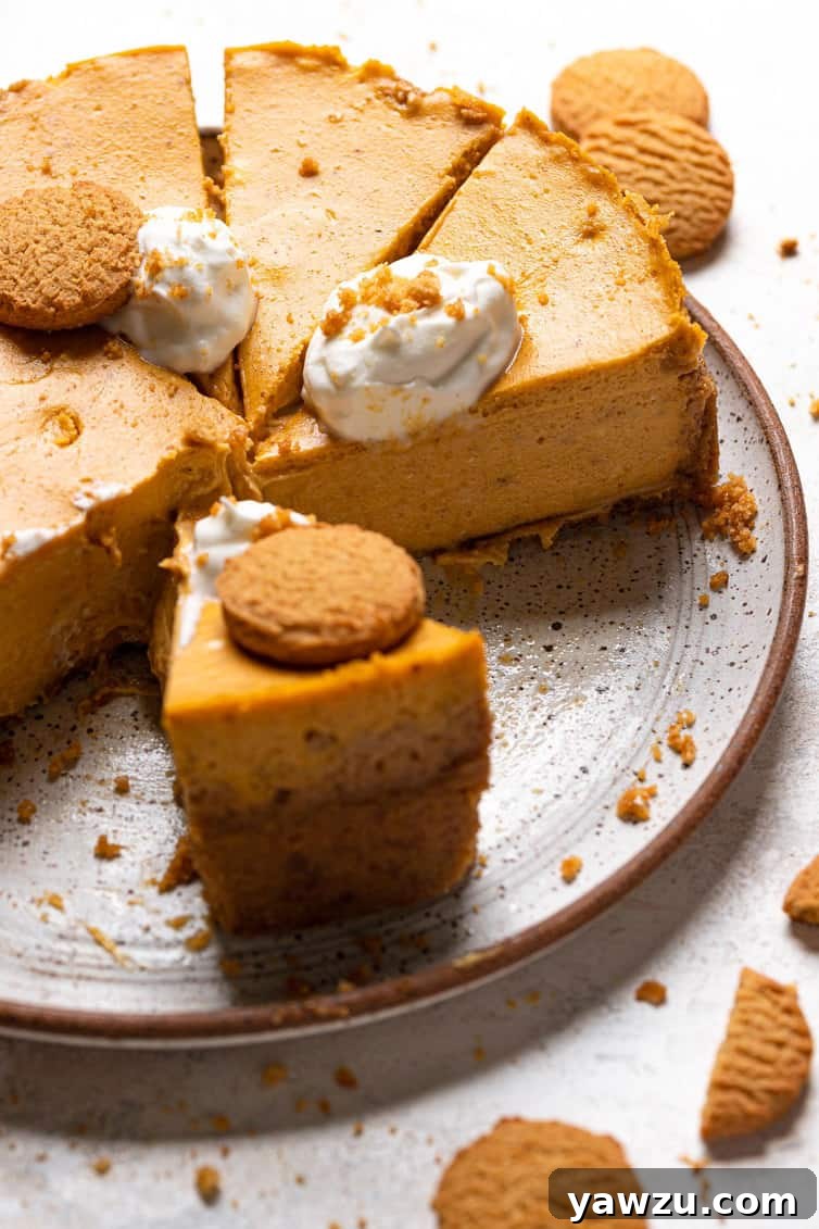 Multiple slices of pumpkin cheesecake, arranged on the base of a springform pan, highlight its creamy texture and vibrant color.